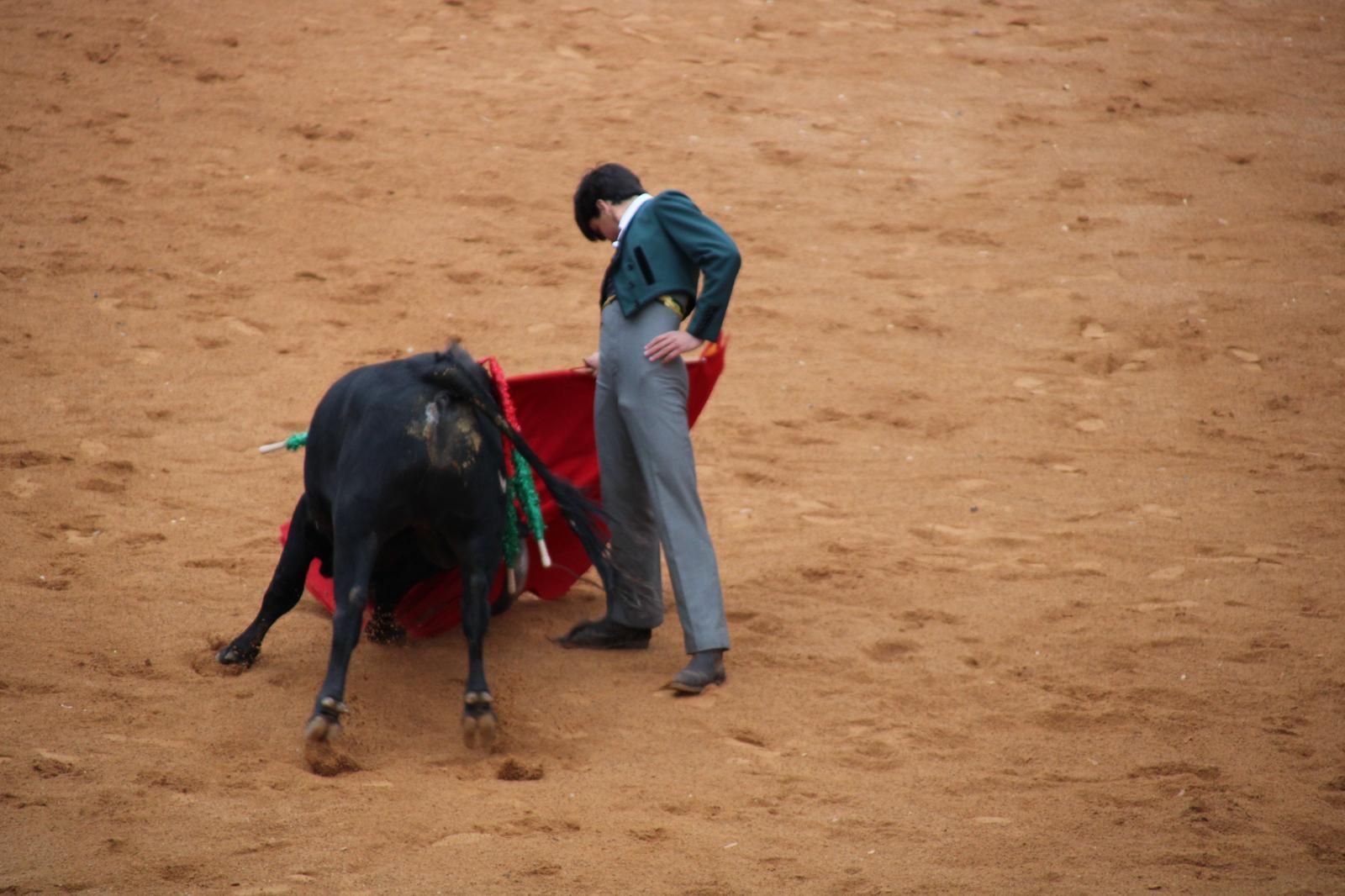 whatsapp-image-2025-03-02-at-18-55-07