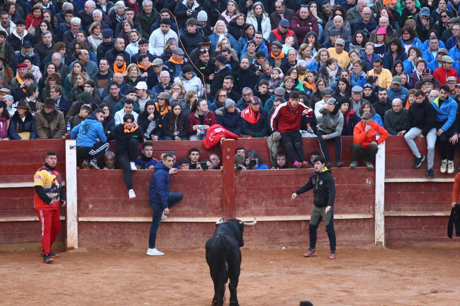 Capea de martes por la tarde en el Carnaval del Toro 2026