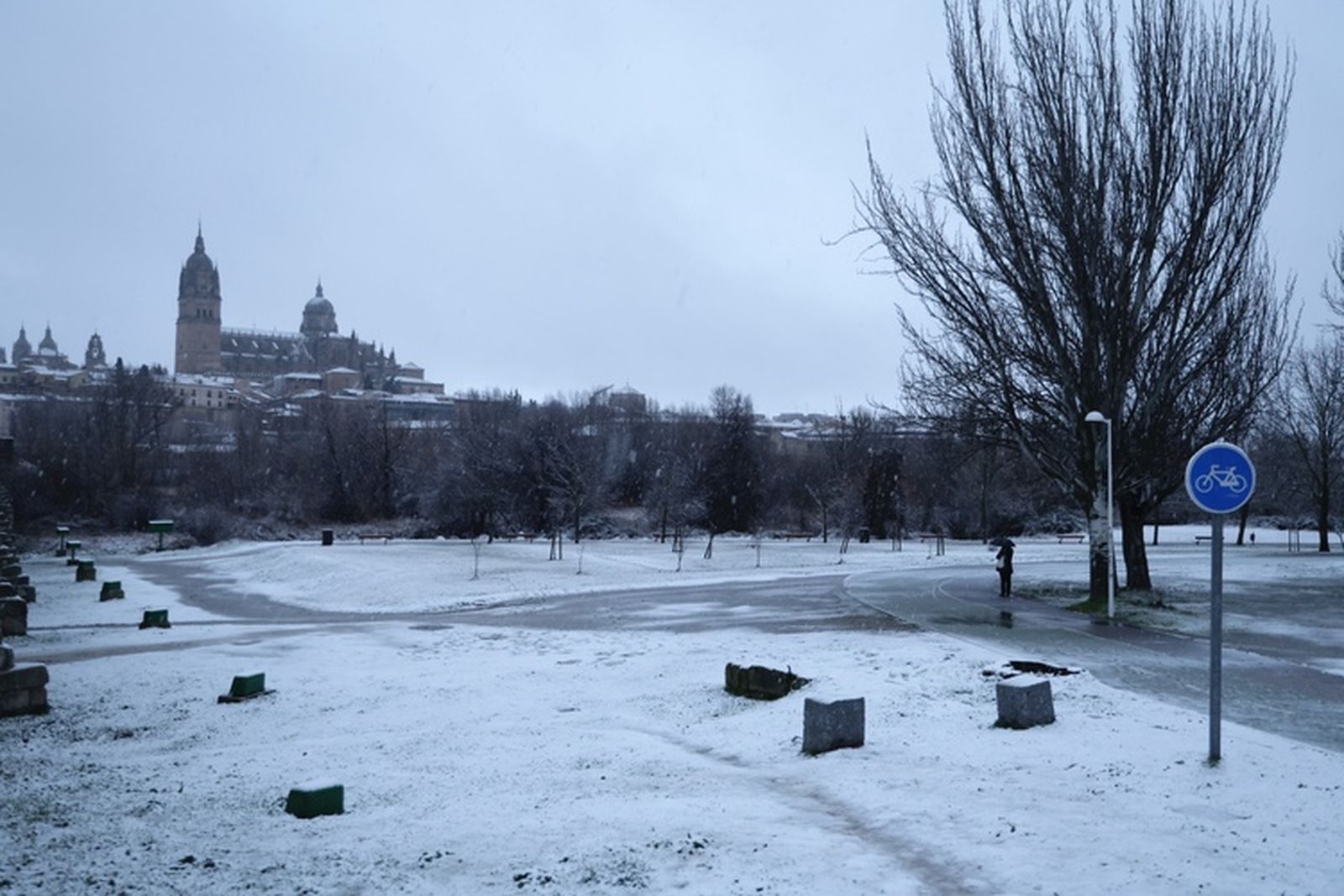 La nieve anega carreteras y tiñe de blanco Salamanca capital y provincia: imágenes de la nevada de este 28 de enero