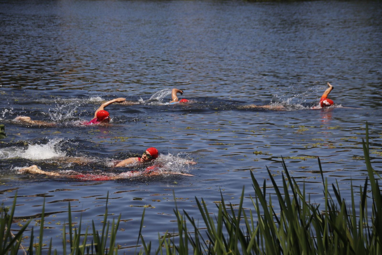 VII Triatlón Media Distancia, Aquabike y Estándar