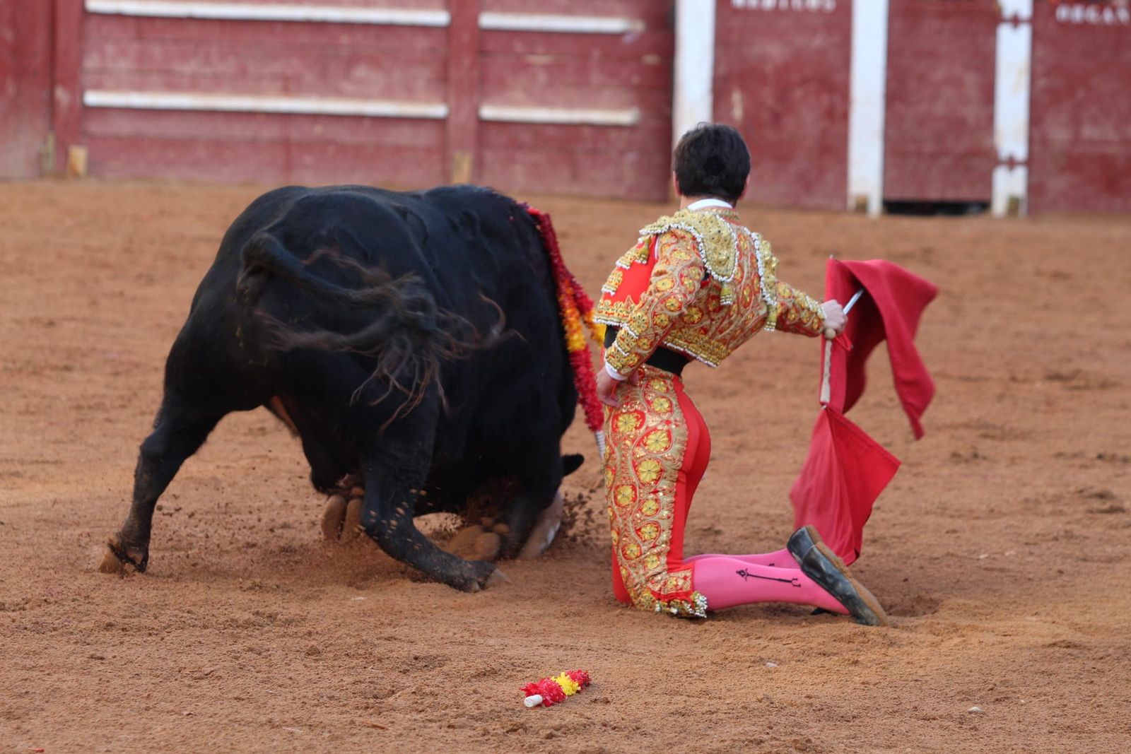 novillada-con-picadores-lunes-de-carnaval-en-ciudad-rodrigo-6