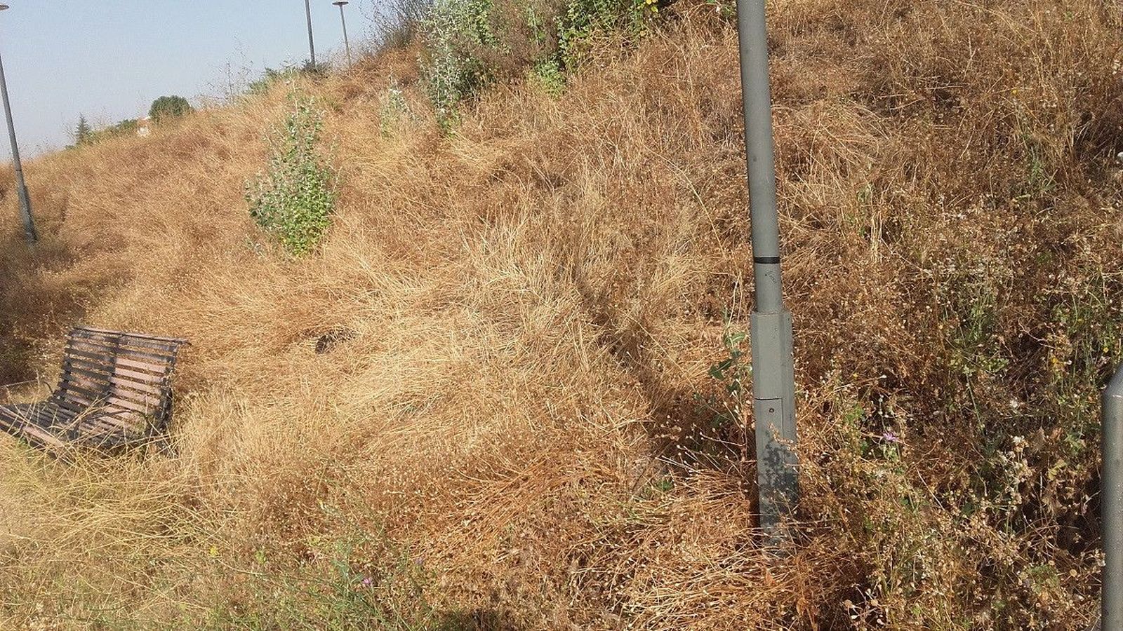 Parque de la Cuesta3