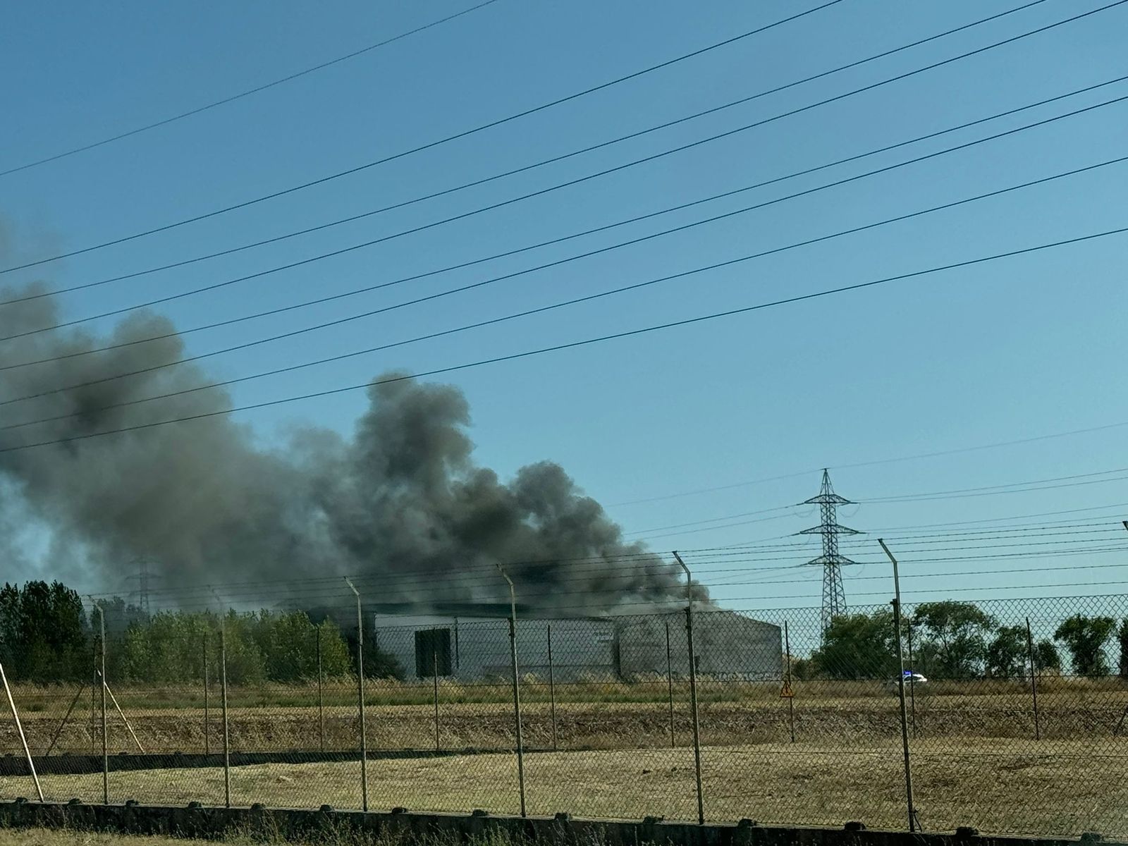 whatsapp-image-2024-08-22-at-17-44-34