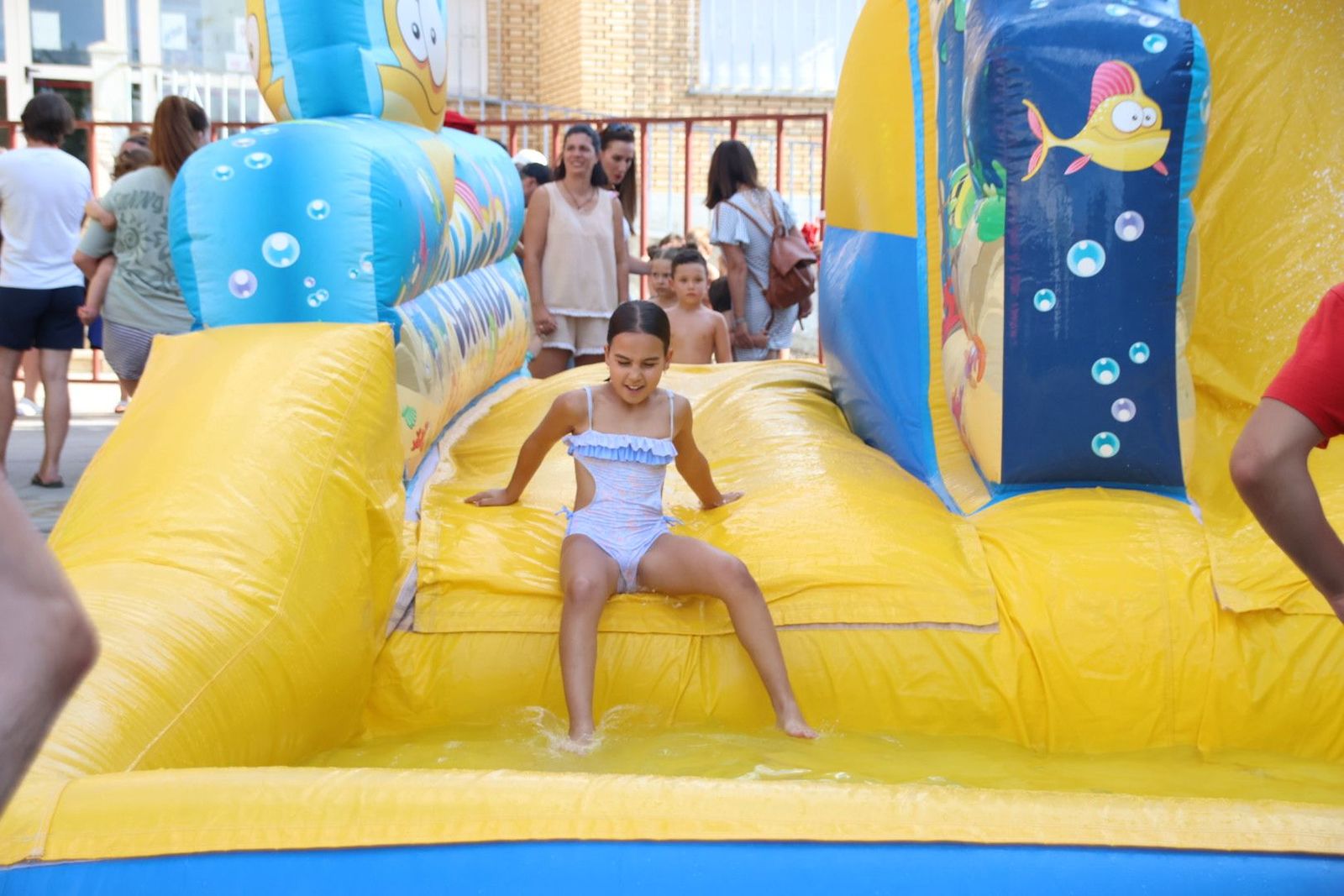 20240802173705-img-2064