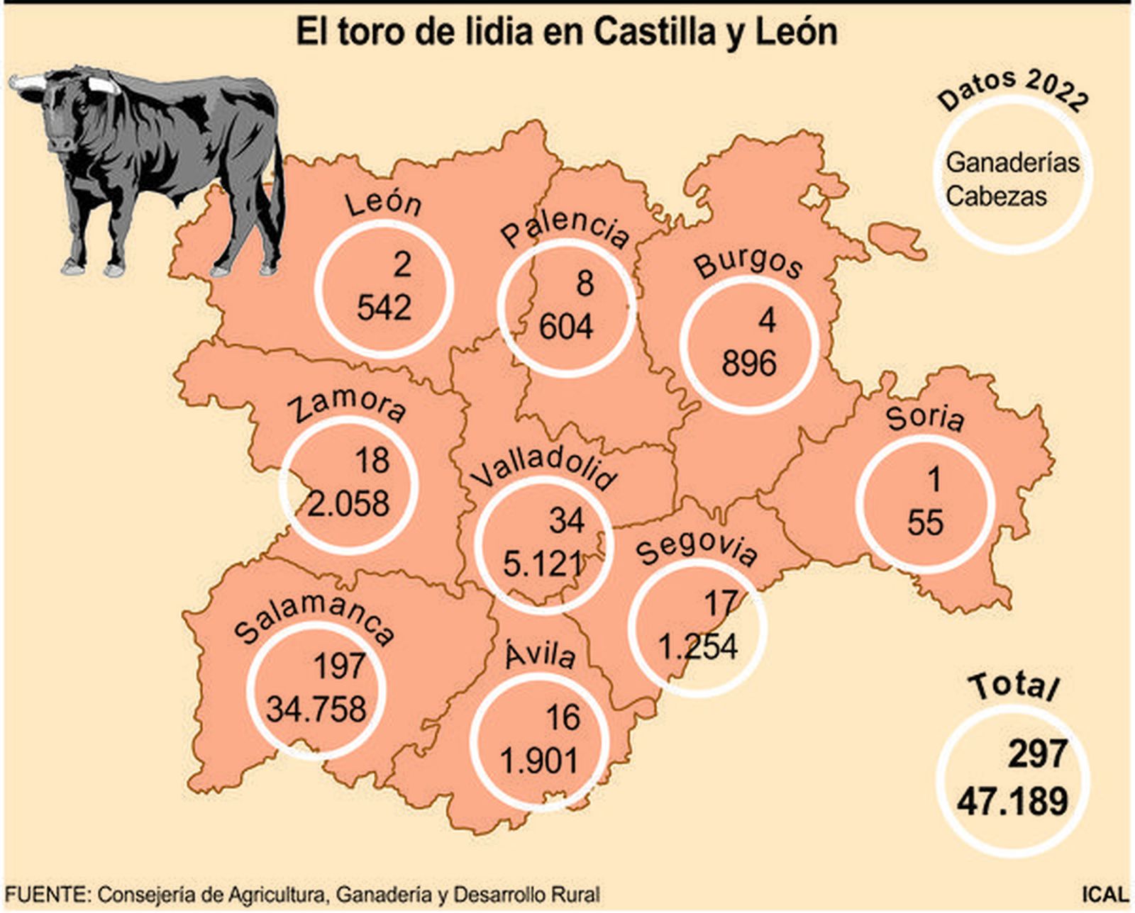 Presencia del toro de lidia en Castilla y León. Foto ICAL Presencia del toro de lidia en Castilla y León. Foto ICAL