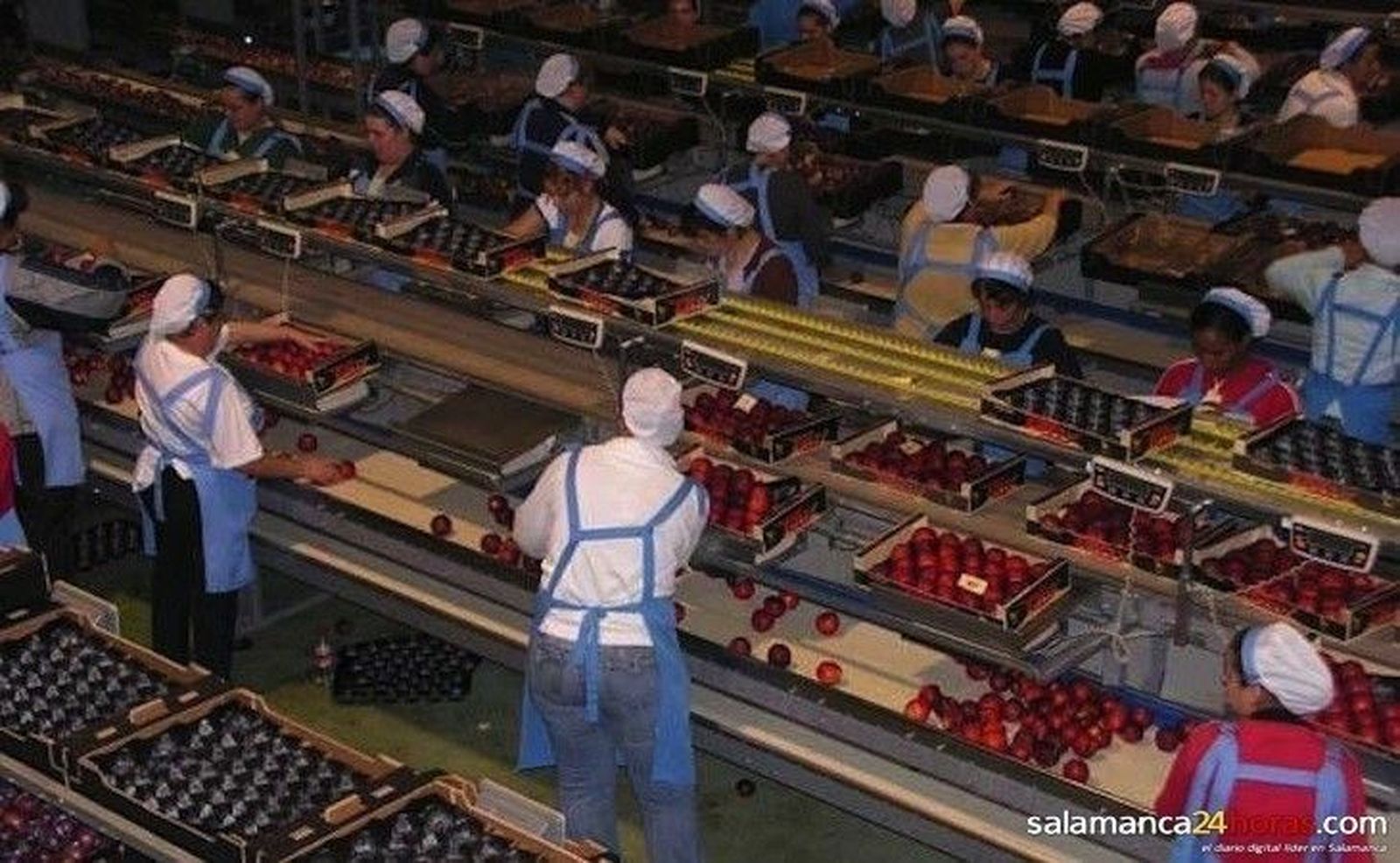 Nuevo sistema de trazabilidad para el sector agroalimentario