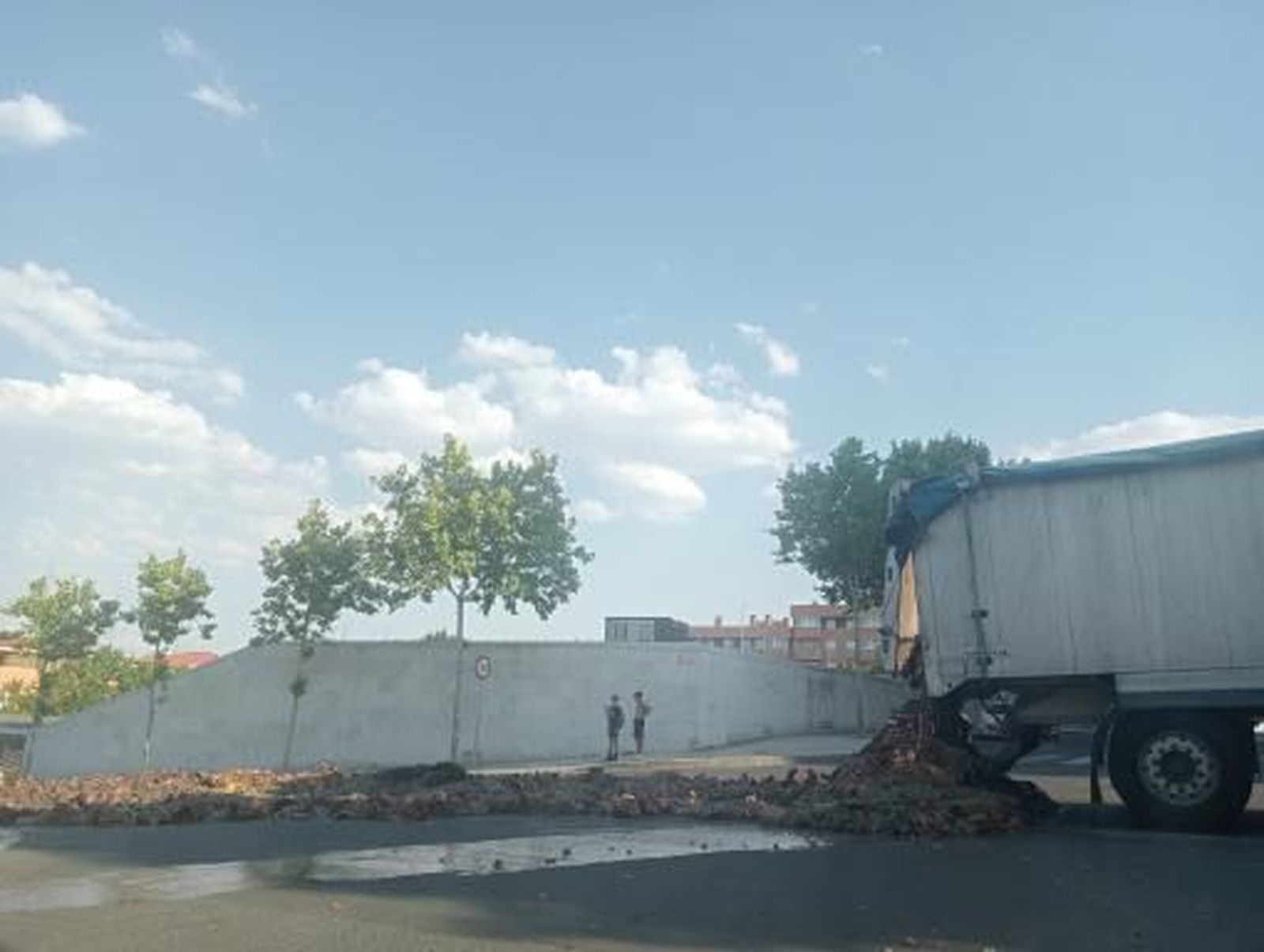 whatsapp-image-2024-07-24-at-20-14-48