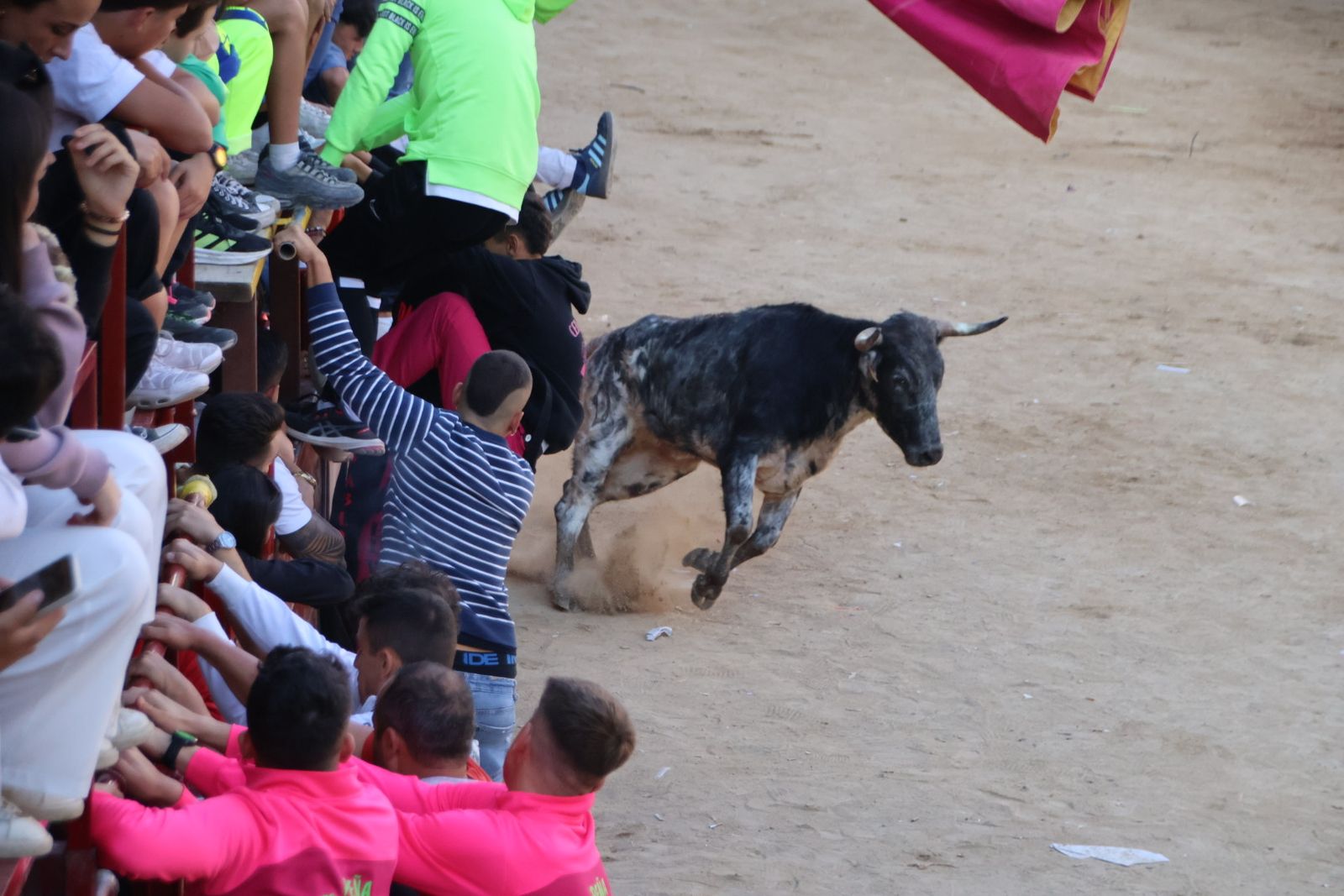 Encierro en Aldeadávila