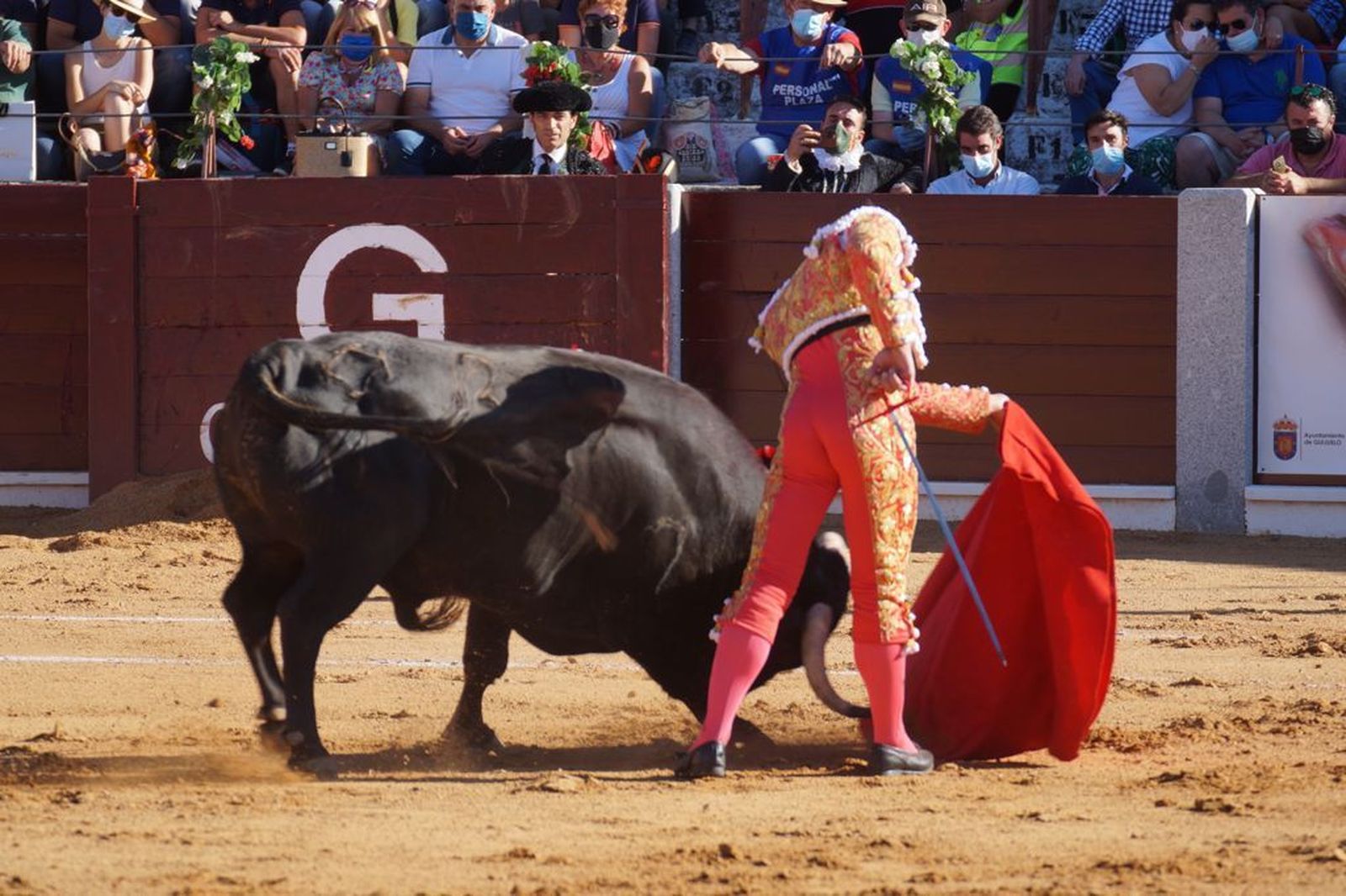 guijuelo-toros-el-puerto-de-san-lorenzo-10