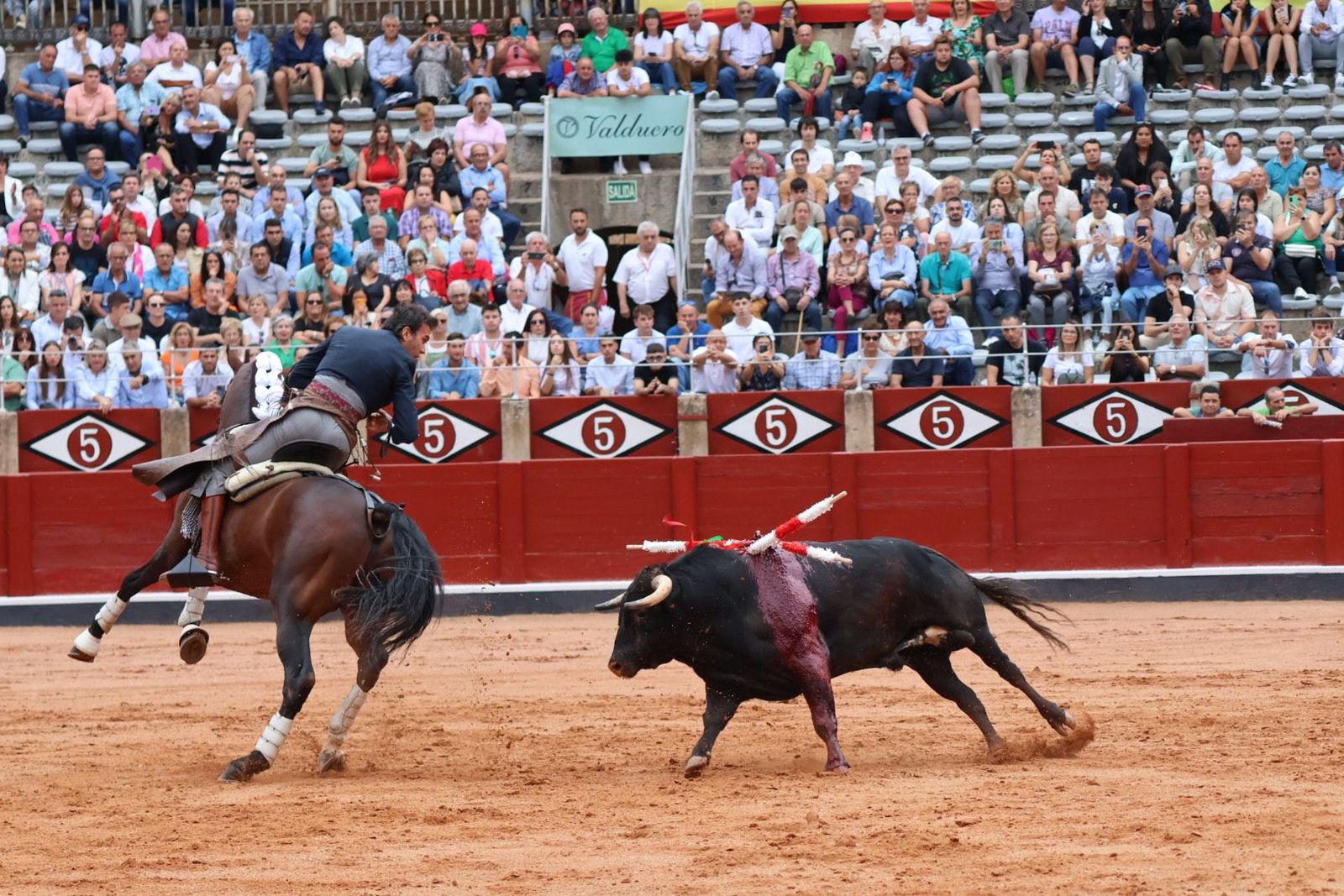 20230909174118-img-0523