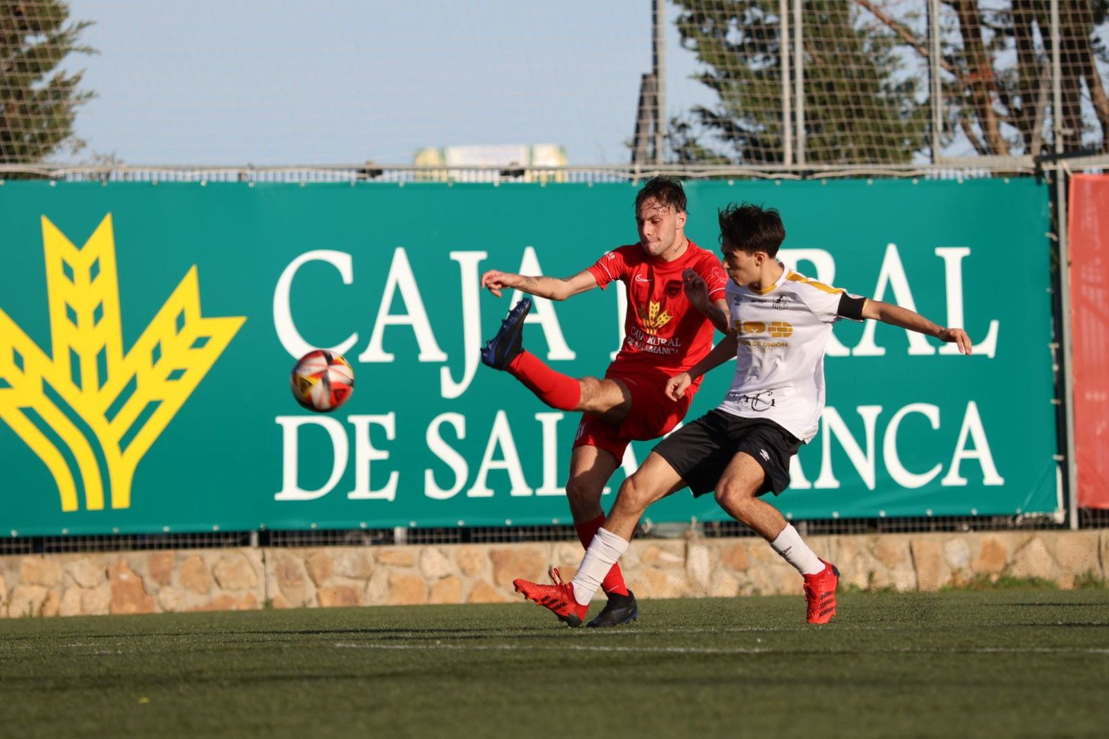 20240218173056-img-7224