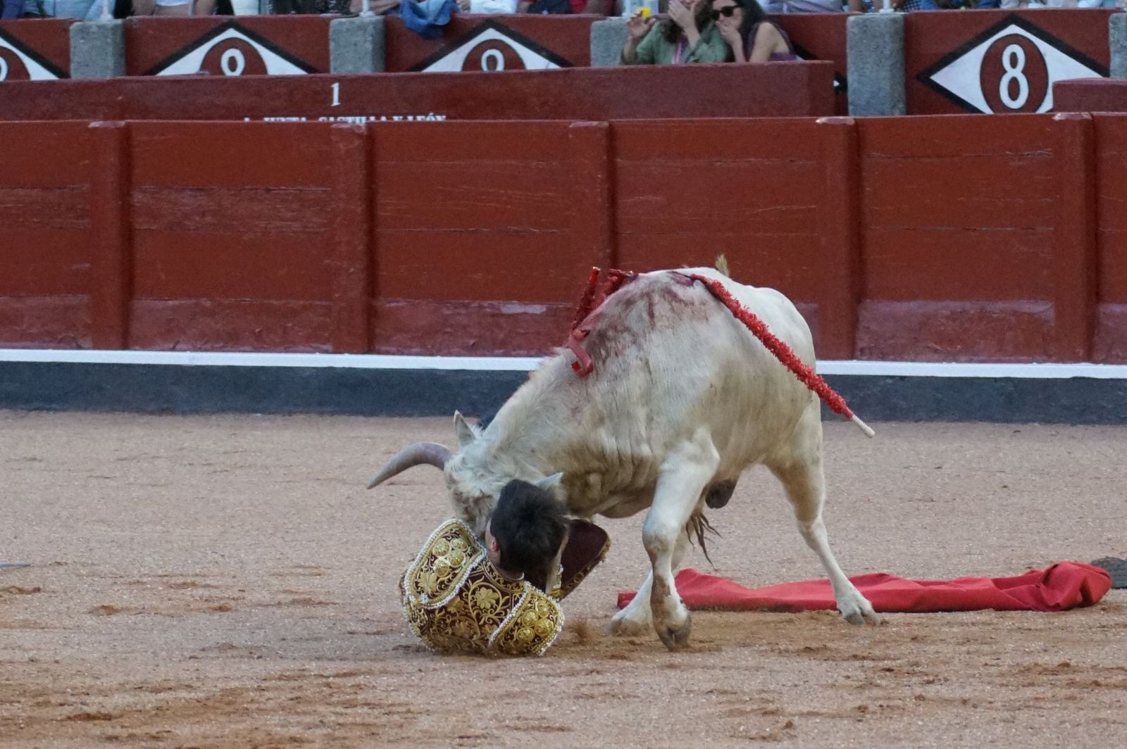 Clase práctica con alumnos de la Escuela de Tauromaquia de Salamanca (Diego Mateos, Noel García y Álvaro Rojo con erales de Esteban Isidro)
