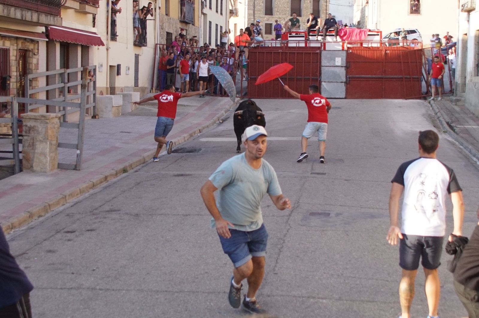 whatsapp-image-2024-08-04-at-21-09-55-2