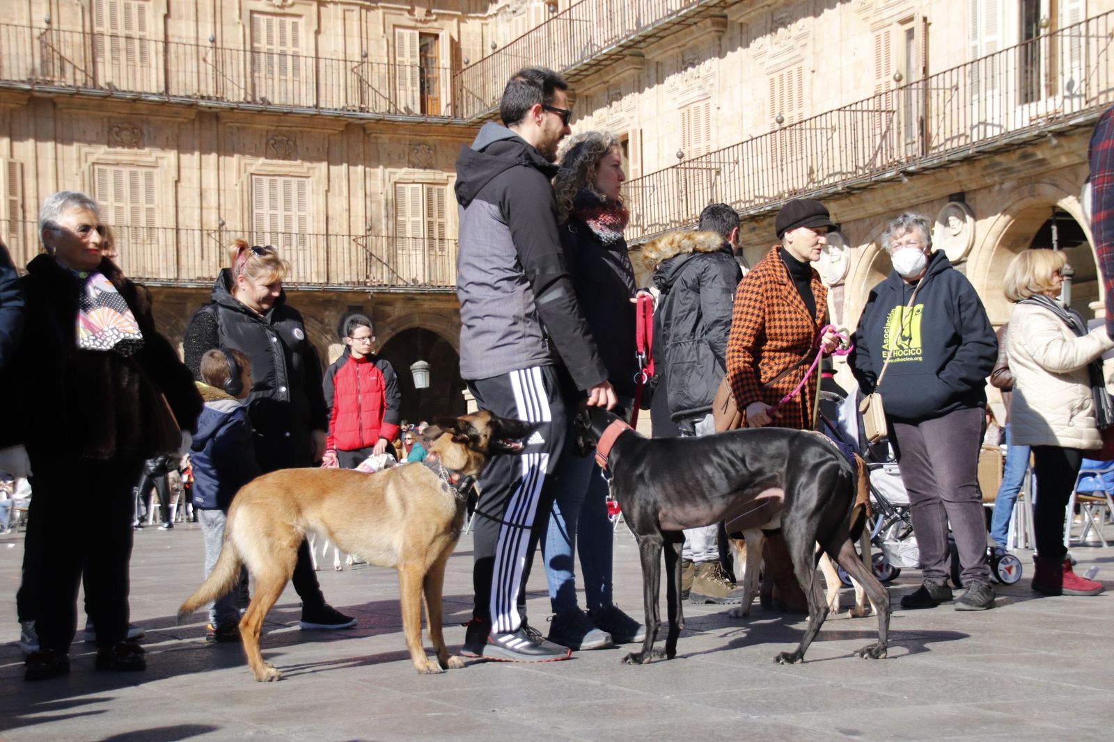 20230205122437-mg-5754