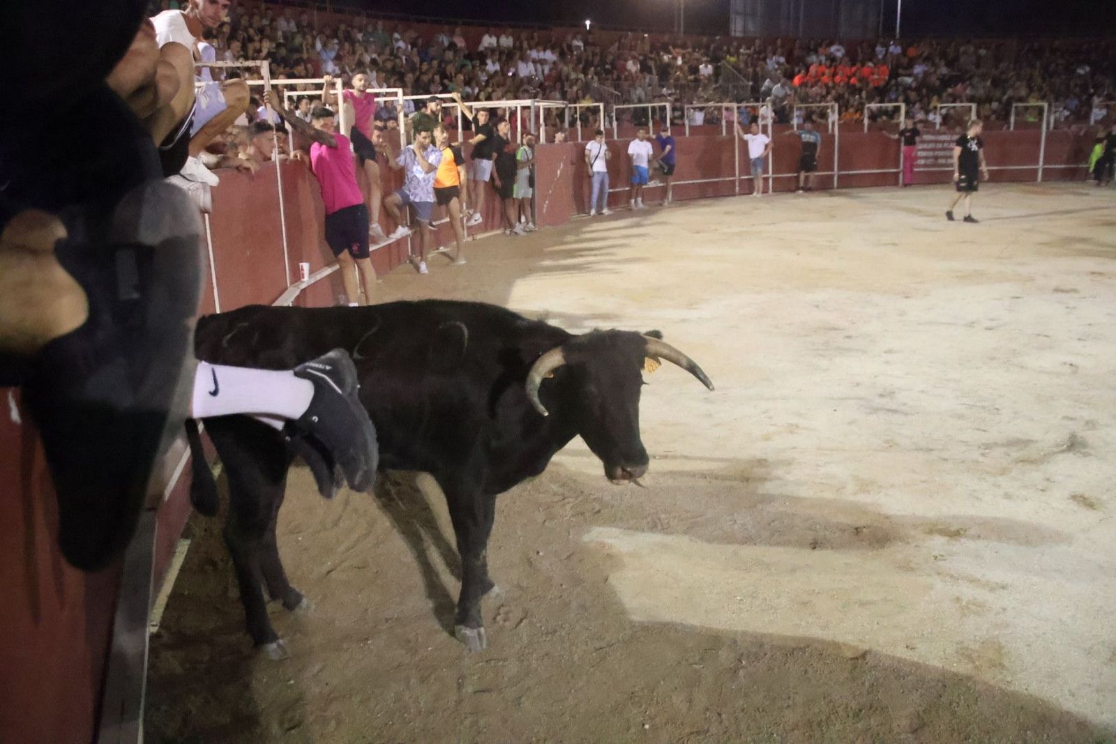 20230812212216-img-1228