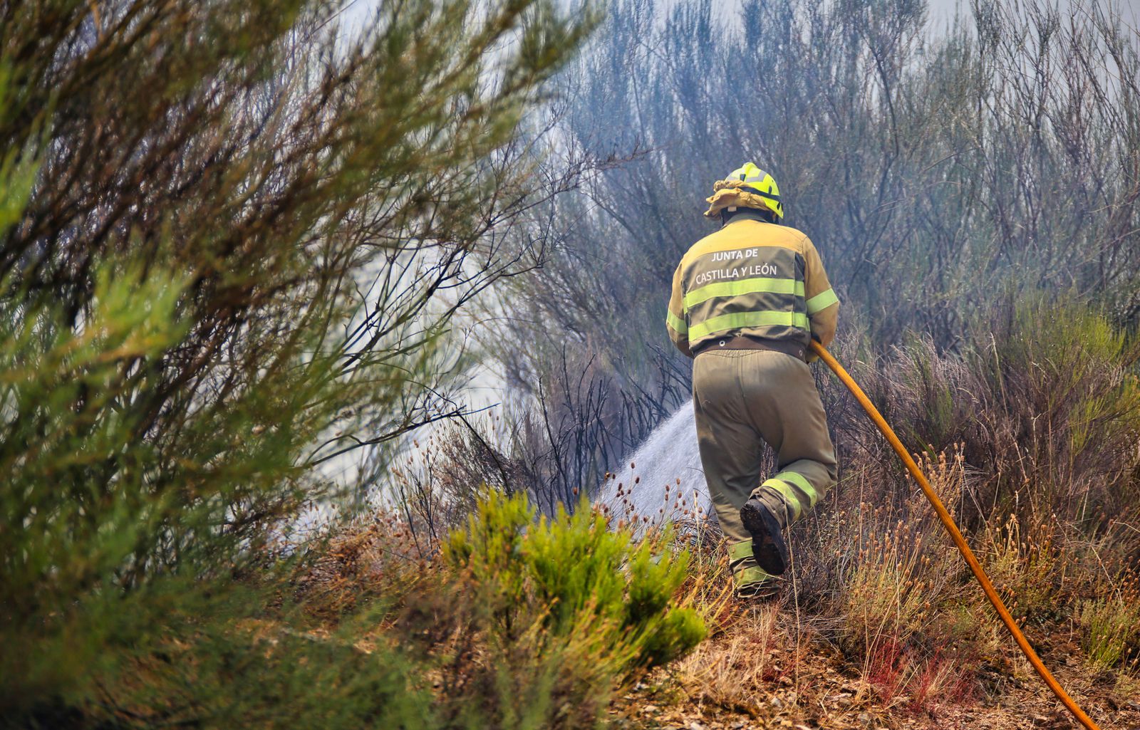 J.L. Leal  ICAL . Incendio en Figueruela de Arriba, en la Sierra de la Culebra (9)