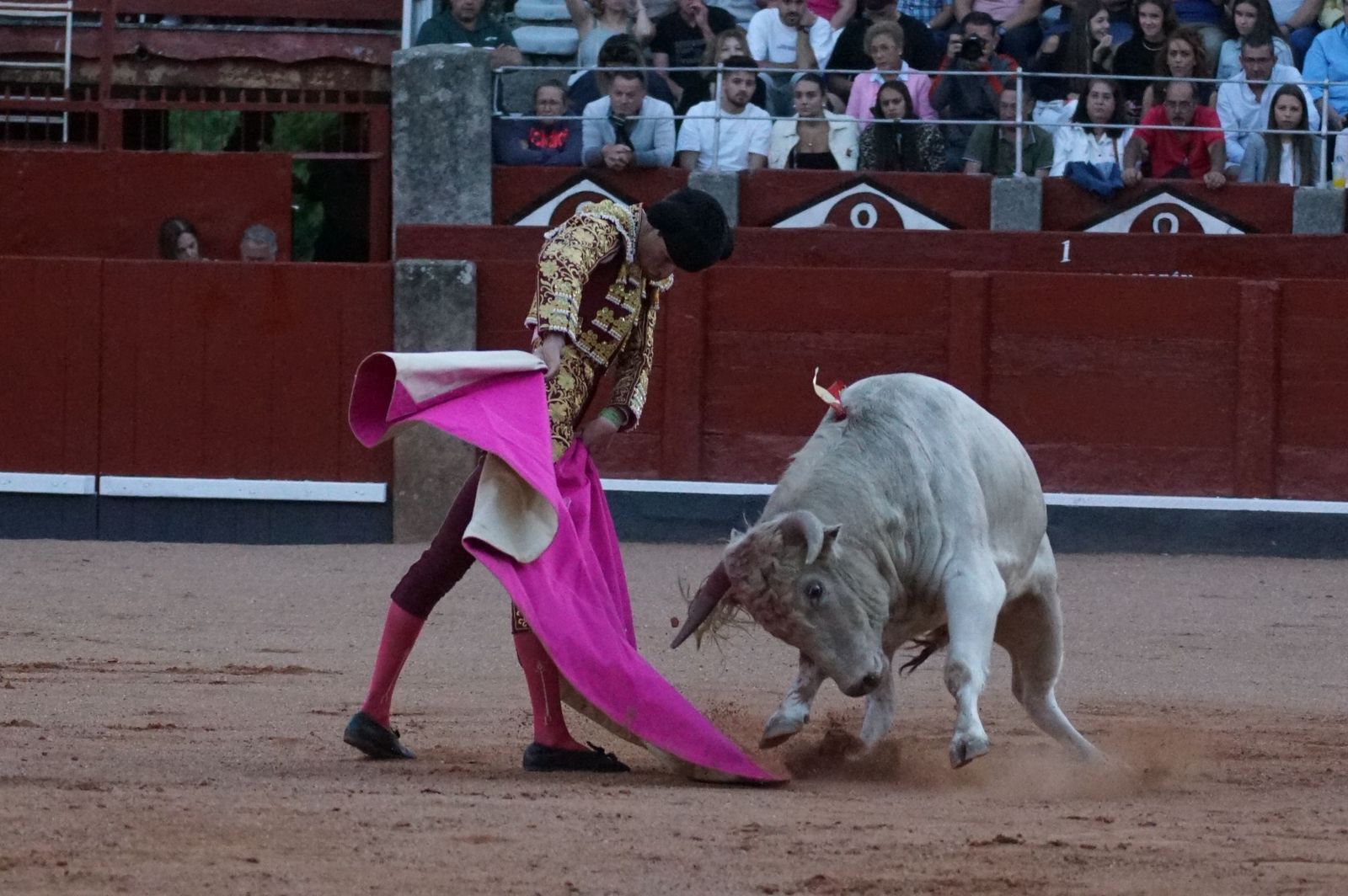 Clase práctica con alumnos de la Escuela de Tauromaquia de Salamanca (Diego Mateos, Noel García y Álvaro Rojo con erales de Esteban Isidro)