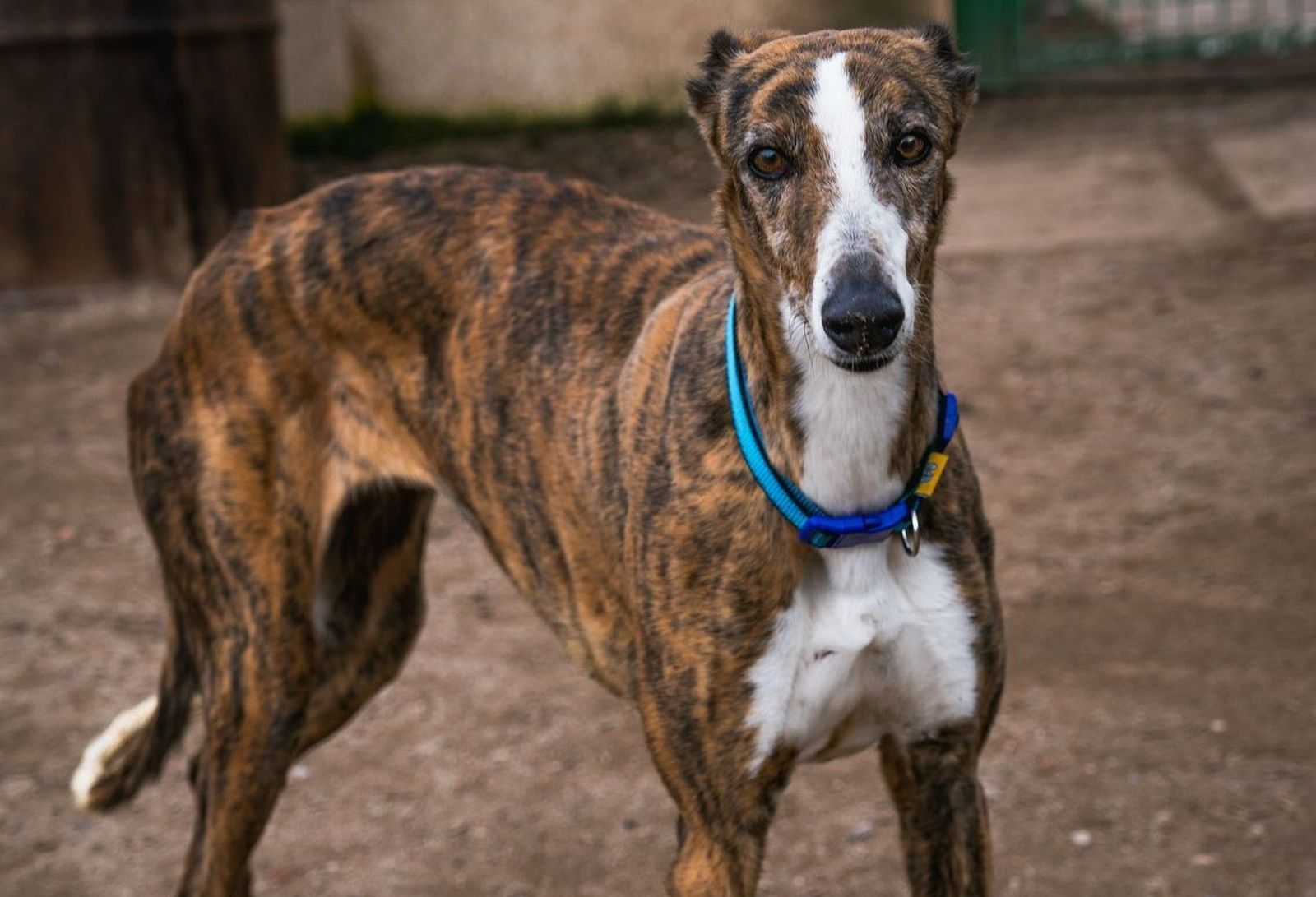 Imagen de WhatsApp 2025 03 14 a las 09.59.21 55a35979