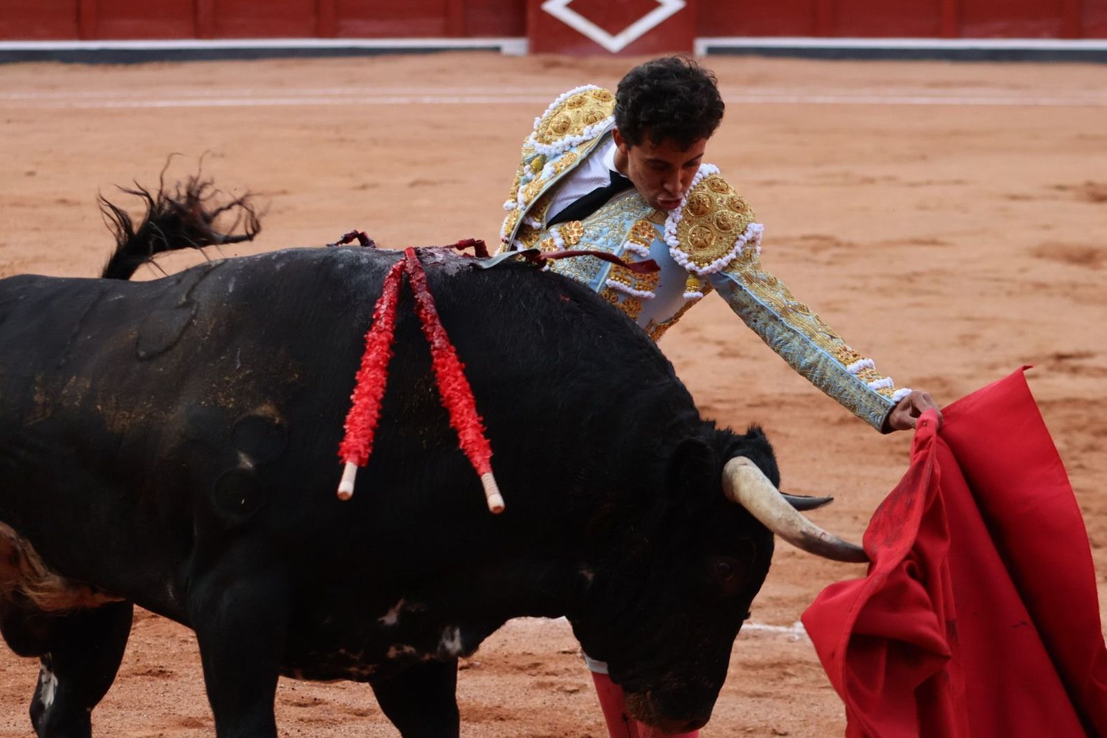 20230910190153-img-2229