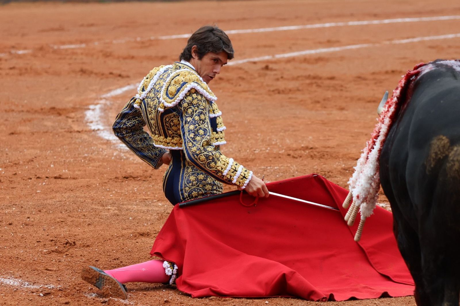 20230916171707-img-5217