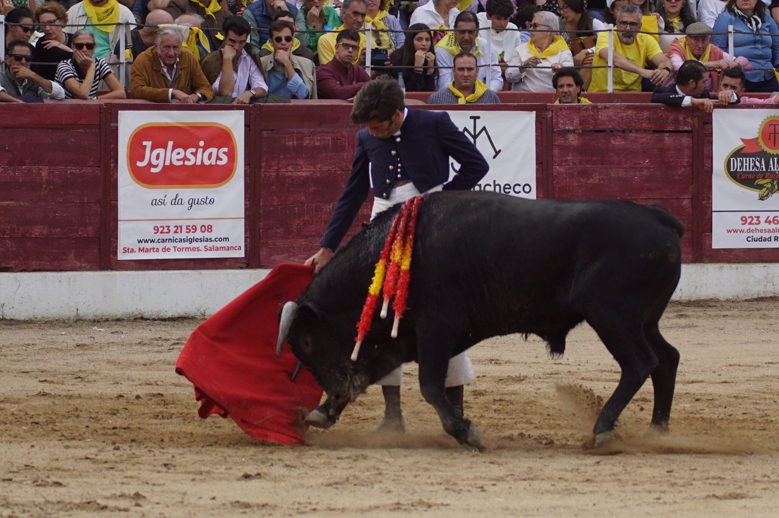 whatsapp-image-2024-10-05-at-19-56-51-2