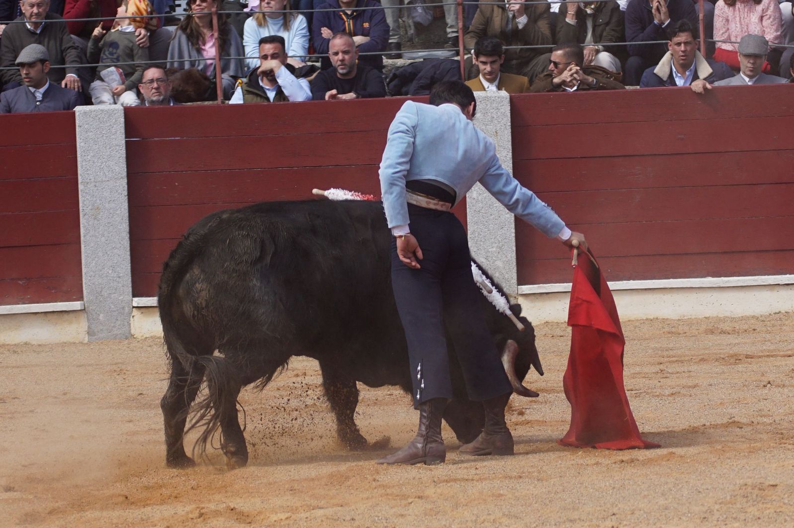 Festival taurino solidario por la esclerosis múltiple en Guijuelo