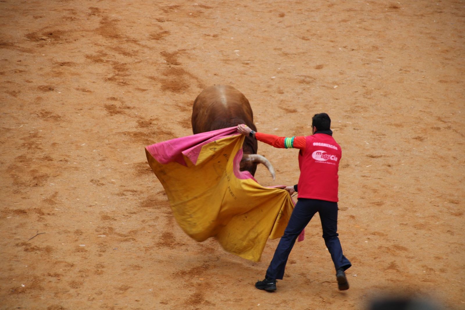 whatsapp-image-2025-03-01-at-13-18-37-1