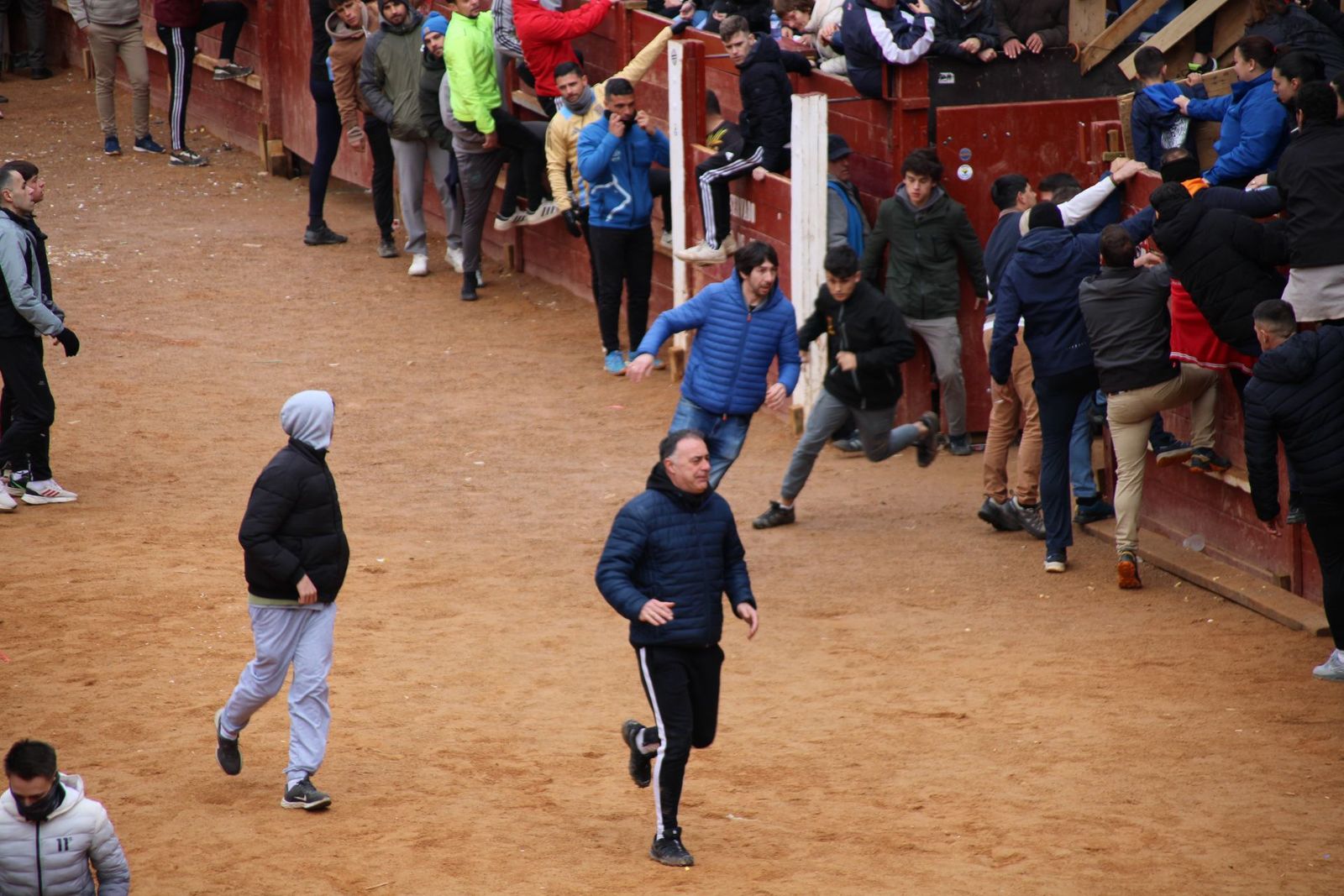 encierro-urbano-martes-de-carnaval-ciudad-rodrigo-2025-22