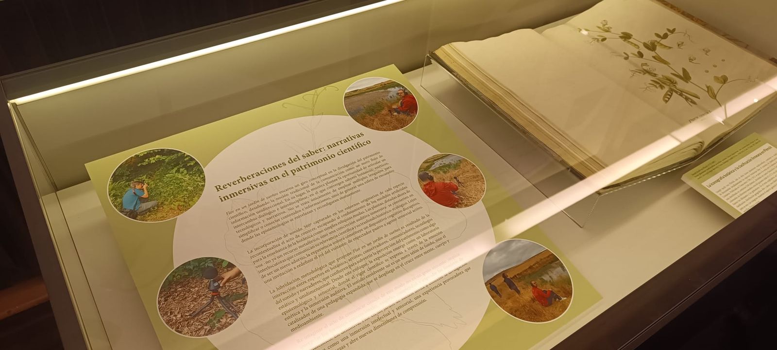 exposicion-botanica-2