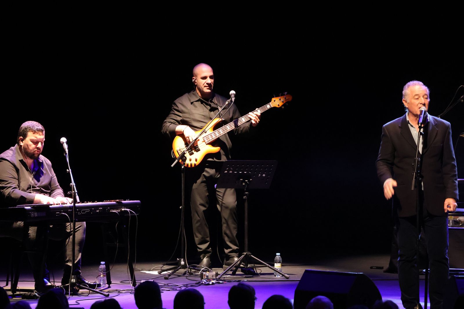 Concierto de José Manuel Soto en el Ramos Carrión (7)