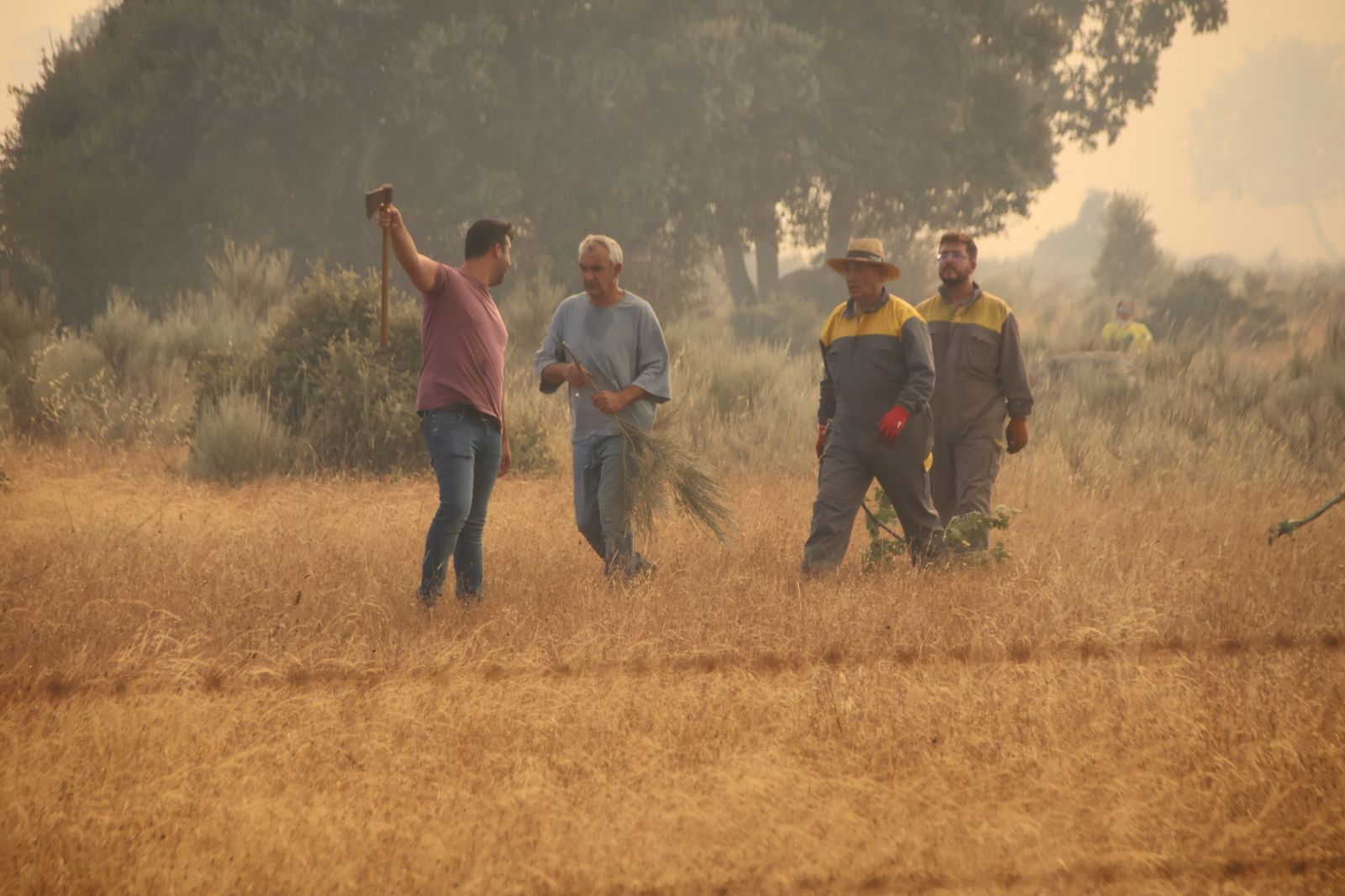 El incendio de Cipérez (IGR2) llega hasta Cerezal de Puertas