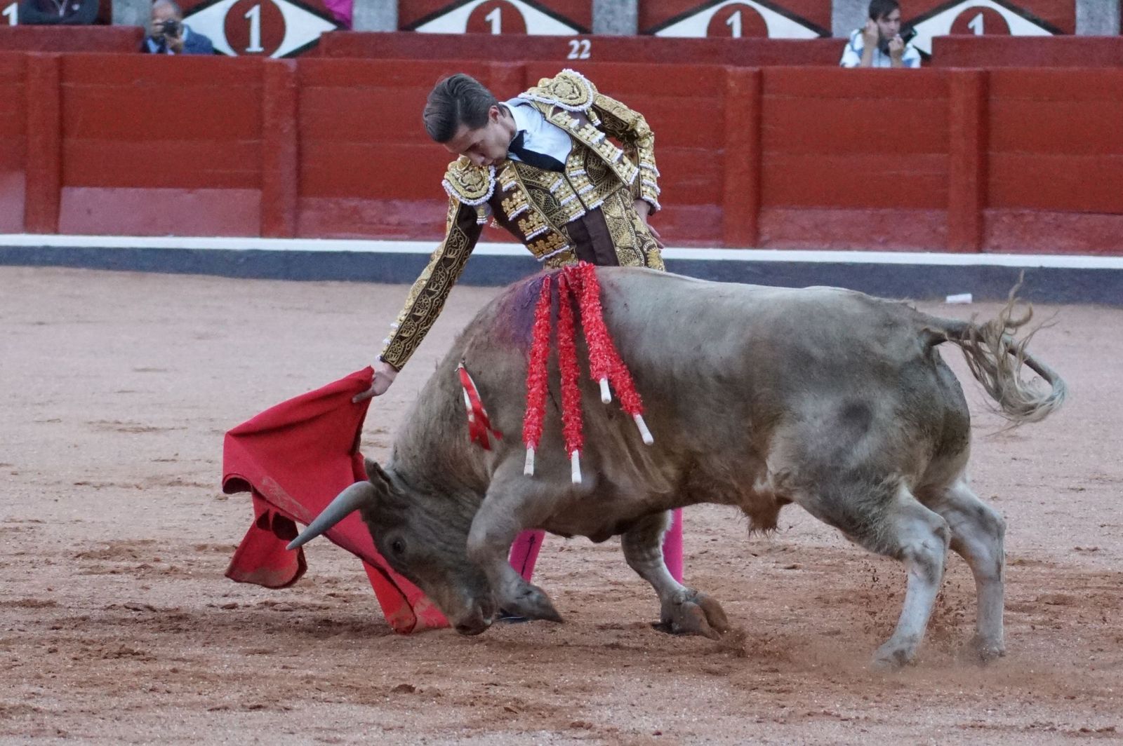 Clase práctica con alumnos de la Escuela de Tauromaquia de Salamanca (Diego Mateos, Noel García y Álvaro Rojo con erales de Esteban Isidro)