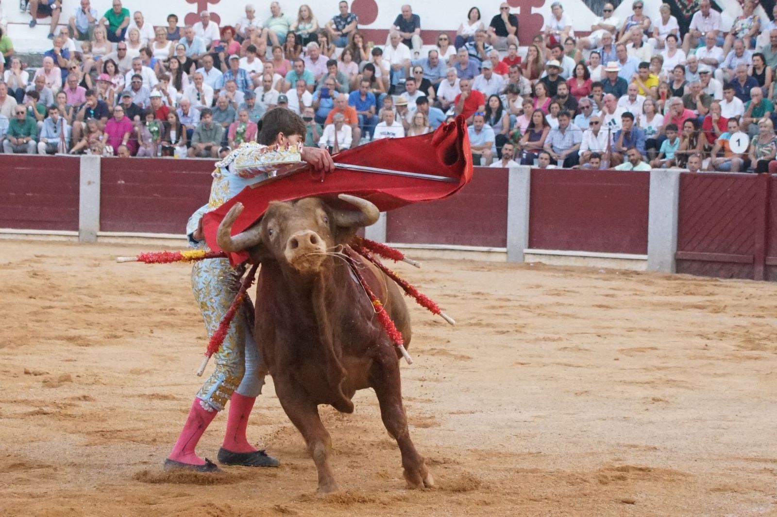 Novillada mixta en picadores en Guijuelo, 17 de agosto