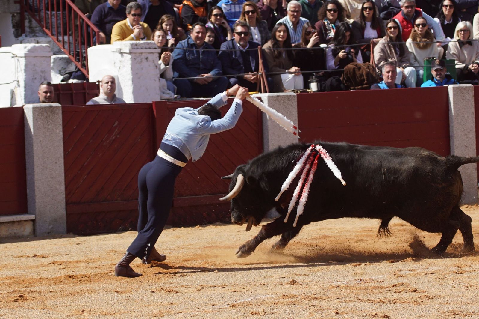 Festival taurino solidario por la esclerosis múltiple en Guijuelo