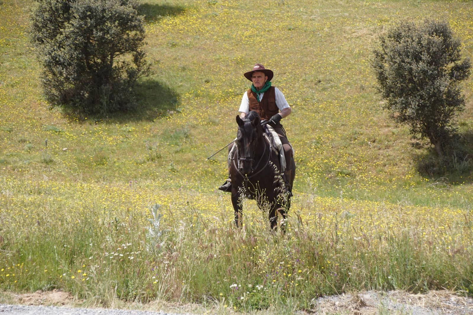 whatsapp-image-2024-05-19-at-14-19-48-1