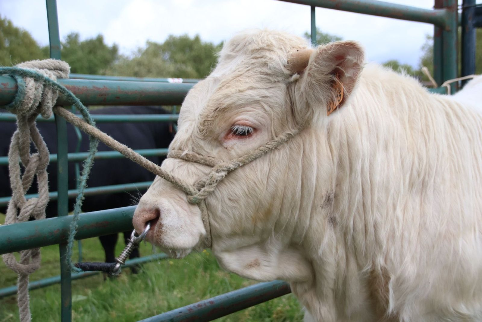 20240501104659-img-2982