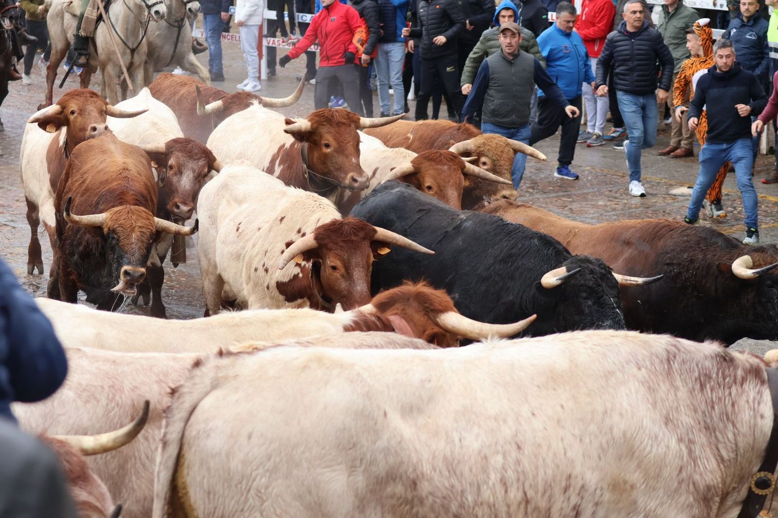 20240211113326-img-6087