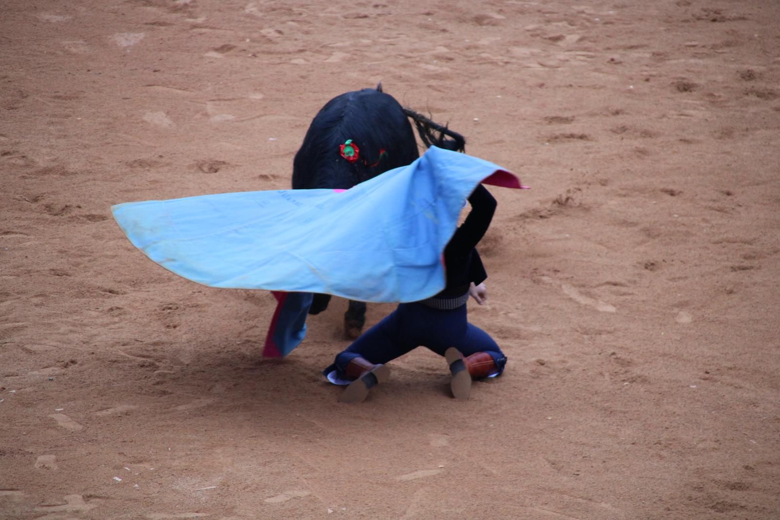 whatsapp-image-2025-03-02-at-18-55-16