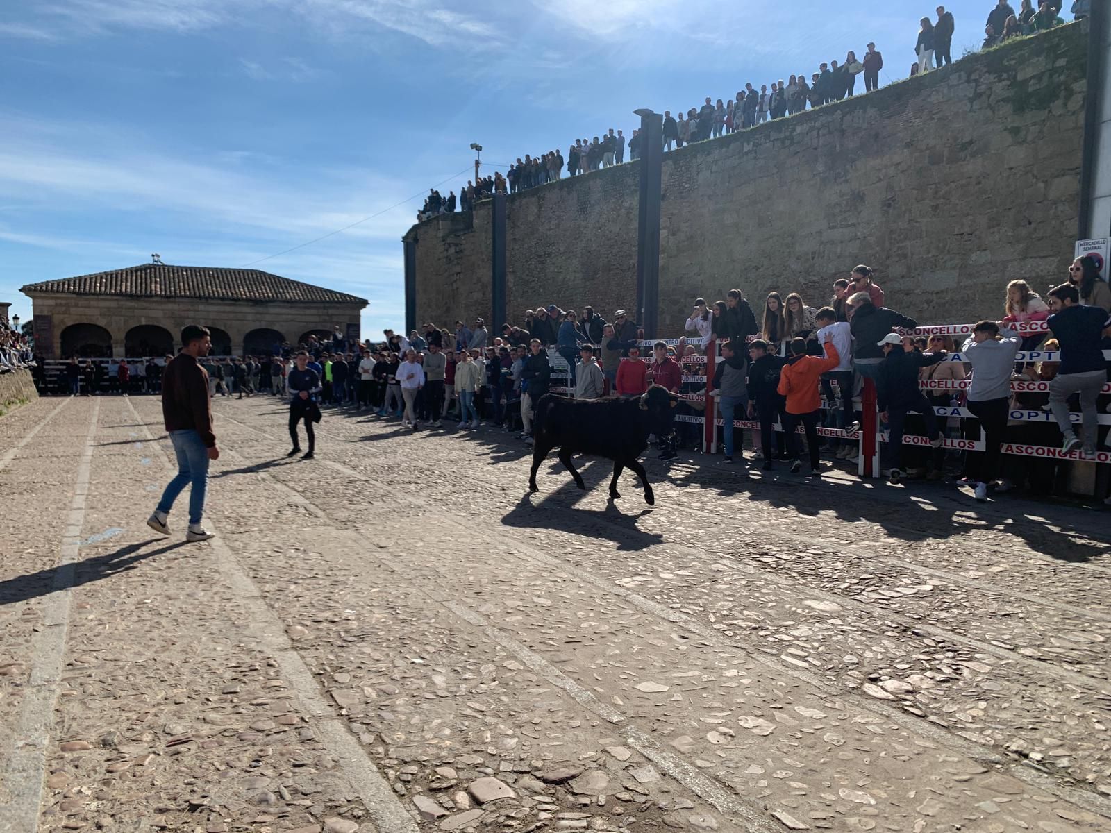 ambiente-con-la-suelta-de-vaquillas-en-el-domingo-de-pinata-en-ciudad-rodrigo-5