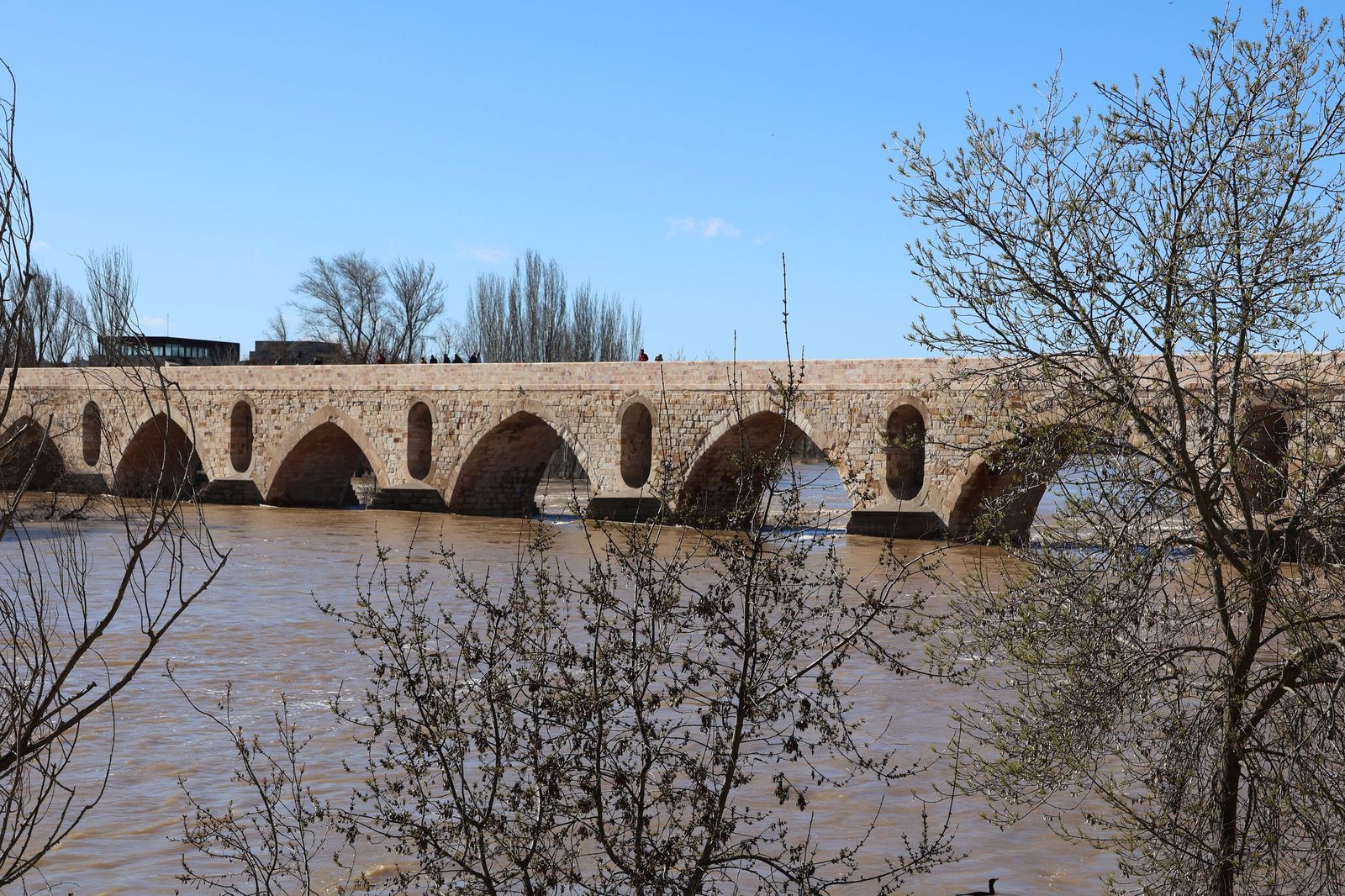 GALERÍA | El Duero muestra su fuerza con una importante crecida tras las lluvias
