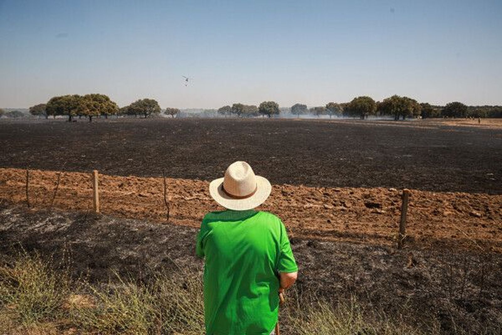galeria-incendio-forestal-intencionado-en-campillo-de-azaba-fotos-jose-vicente-ical-4