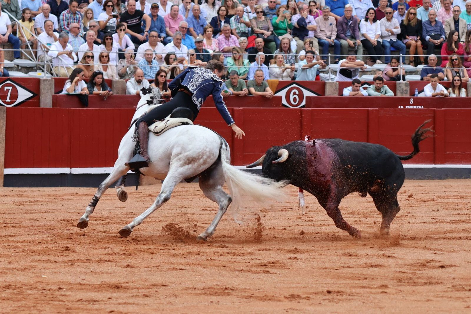 20230909172216-img-0437