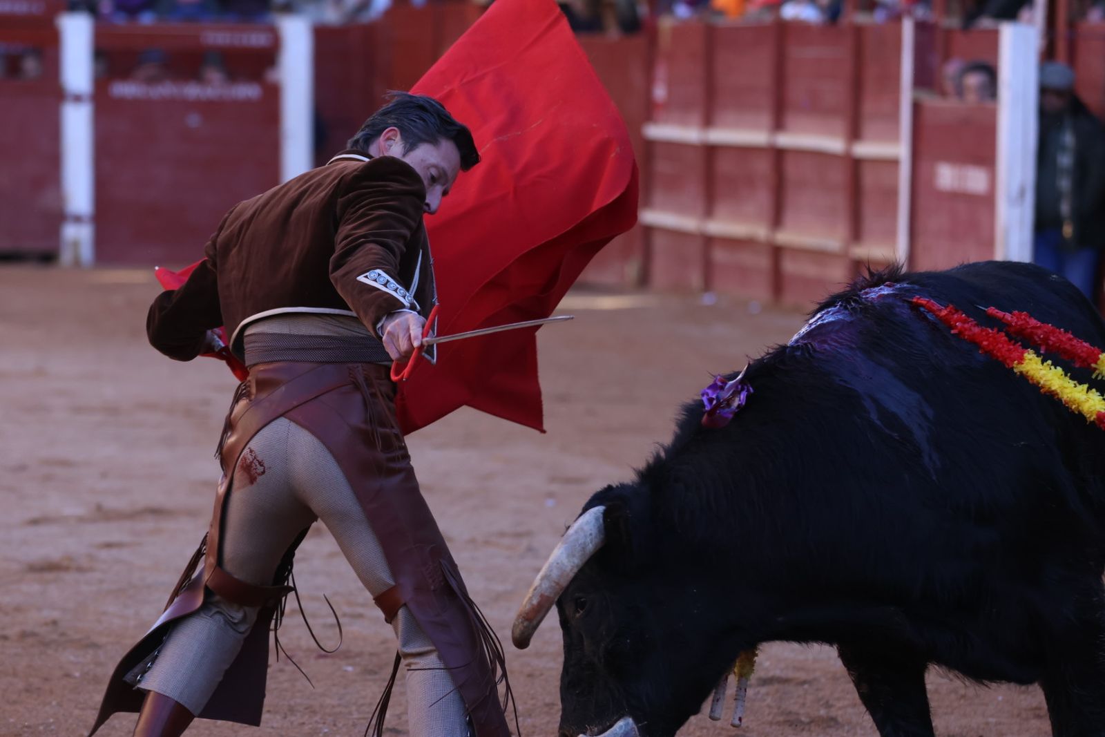 Festival taurino del Sábado en el Carnaval del Toro 2026 de Ciudad Rodrigo