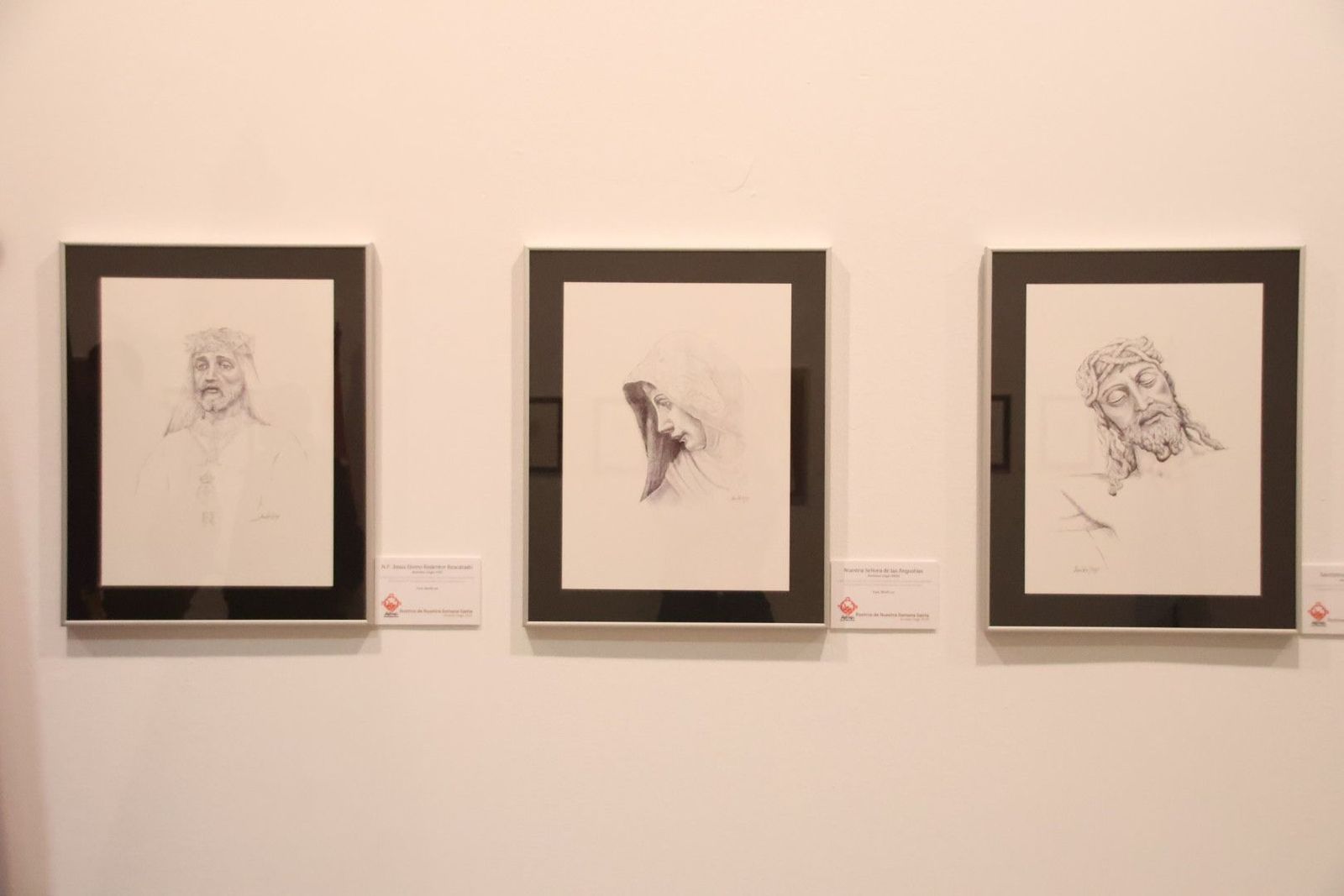 20240301110848-img-7576