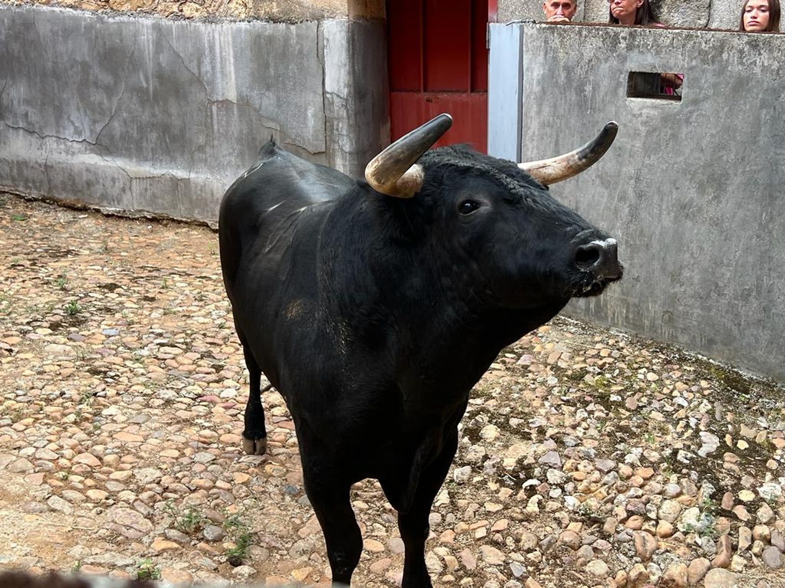 whatsapp-image-2023-09-09-at-12-32-17