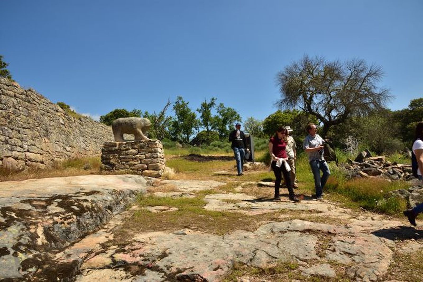 Territorio Vetón. Castro. Foto Diputación Salamanca 