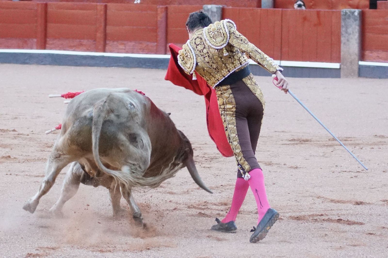 Clase práctica con alumnos de la Escuela de Tauromaquia de Salamanca (Diego Mateos, Noel García y Álvaro Rojo con erales de Esteban Isidro)