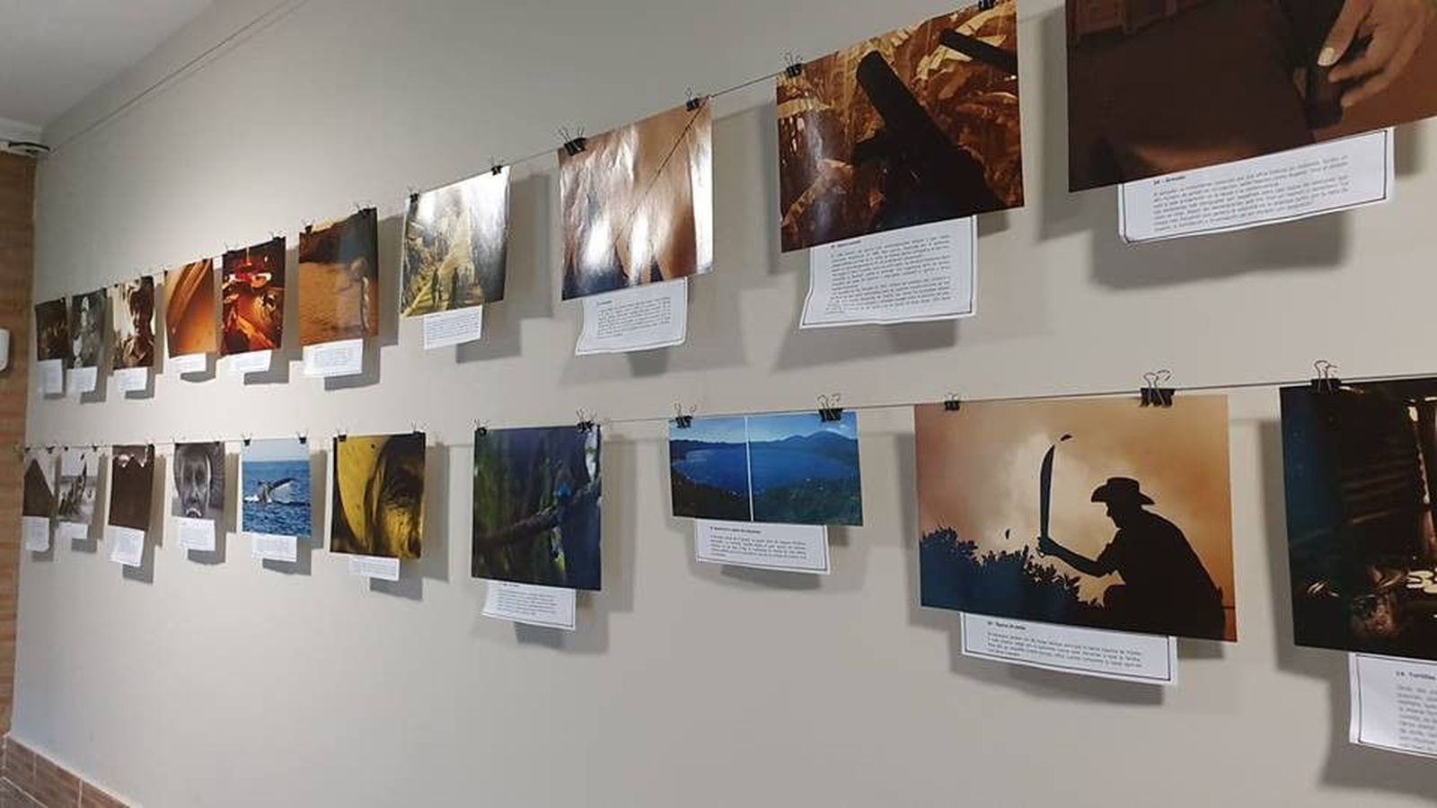 Una mirada hacia el salvador