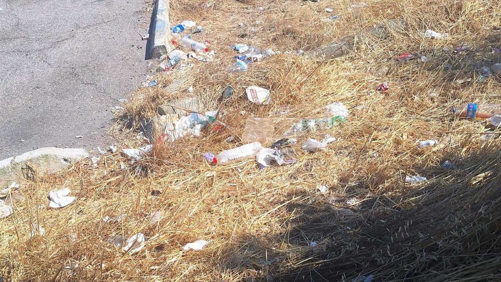 Basura en una área de descanso Basura en una área de descanso