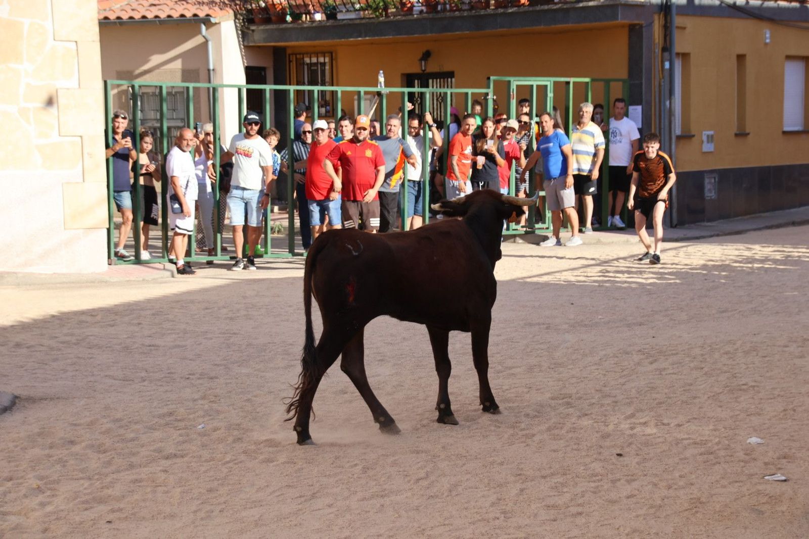 20240817183122-img-4437